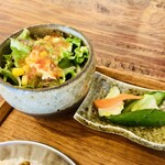 江南水餃店 - 自家製ドレッシングが美味しいサラダと最近彩りが増した浅漬け