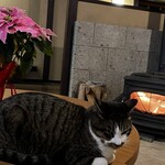 鹿教湯 三水館 - 