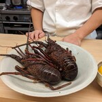 水の - 活きている伊勢エビ