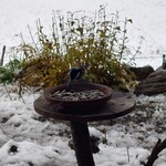 くつきそば 永昌庵 - 