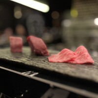 HIKARI - 