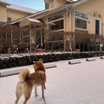 Restaurant Hamy's 가루이자와