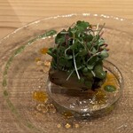 魔都 MATO - 雲南ダイ族牛筋ゼリー