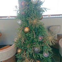 鉄板焼き 七里ガ浜 - 