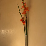 すが弥 - 生華です