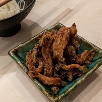 CINA New Modern Chinese - 