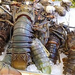 SAVOEY Seafood Restaurant - 