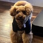 タッカンマリVillage - 