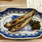 割烹 市川 - もろこ