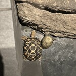 懐石 後藤 - 至る所に、楽しめるポイント。