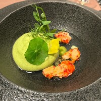 ザ　ジュエルズ - 