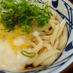 Marugame Seimen - とろ玉うどん(\390）