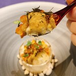 Ristorante SHIKAZAWA - 