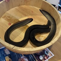 炭焼鰻 寝床 福島店 - 