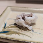 鮨みやもと - 新いかげそ