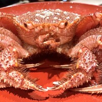 御曹司 きよやす邸 六本木本店 - 