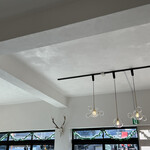 STARFISH AND COFFEE - 