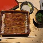 うなぎ 目白ぞろ芽 - 