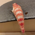 鮨 はなやま - 車海老(追加）