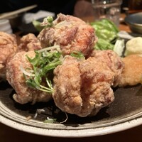 KOiBUMi - 