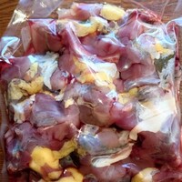 料亭 やまさ旅館 - すっぽん鍋セット