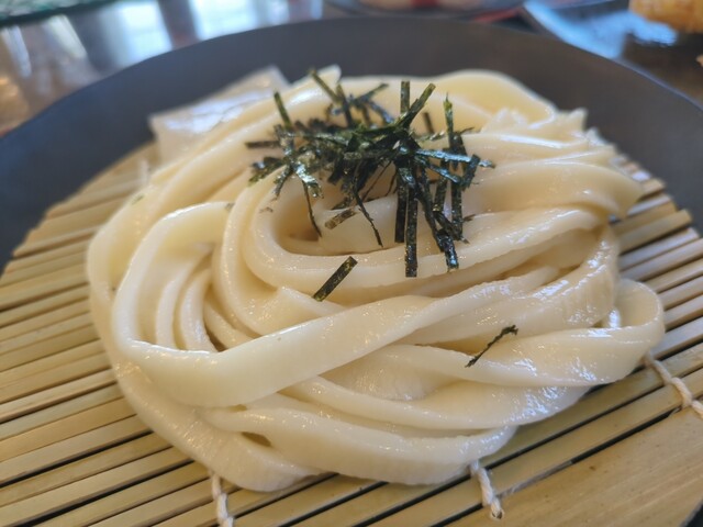 ももや（手打ちうどん　ももや） - 曽根田（うどん）の写真