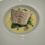 マスドラヴァンド - 