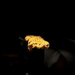 くるますし - ムラサキウニ。 出回り始めた旬の走りのムラサキウニ。 旨いですねぇ。 ただ、この店では、やはり地元産の赤ウニが待ち遠しい。