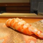 鮨 おさむ -  車海老・・