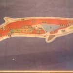 鮨 おさむ -  ミンククジラの・・・