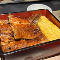 炭焼きうなぎ・かしわ 登河 - 