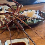 磯料理赤沢丸昌 - 