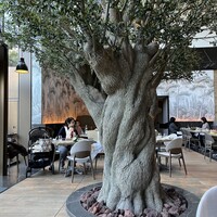 ジャヌ メルカート - 