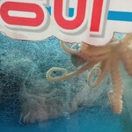 チャンシンユッケ - ウニョウニョ。