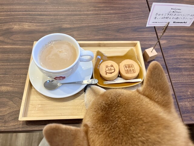 柴犬饅頭☆お茶の時間set 柴犬饅頭☆お茶の時間set 柴犬饅頭☆お茶の