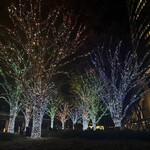 南翔饅頭店 六本木ヒルズ店 - 