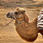 さんぽう - ♦︎なお､､､今日はご機嫌なご様子(笑)