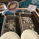 ざうお - 