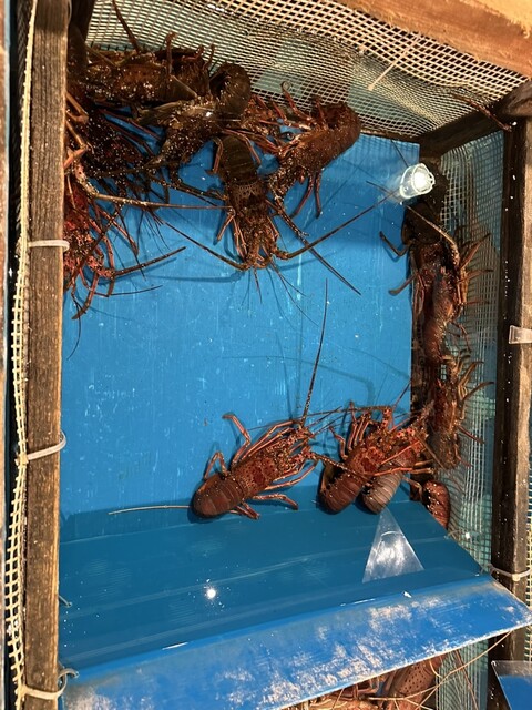 Zauo Nanba Honten photo 5