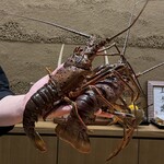 鮨旬美西川 - 伊勢海老