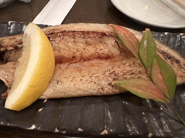 Senya Honten photo 3