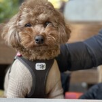 イート グッド プレイス - 