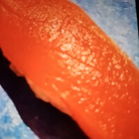 築地 寿司岩 総本店 -  築地 寿司岩 総本店 -