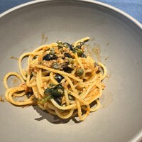 セルサルサーレ - 