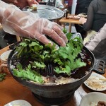 ジンギスカン羊はち - たっぷり春菊