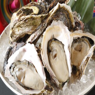 厳選した【ぷりぷりの牡蠣】市場から仕入れる旬の旨いがこだわり