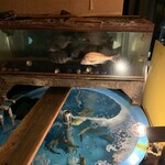 海鮮食道 十八番 - 