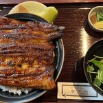 うな専 - デカい、肉厚 (うな丼4560円)