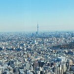 ジンジャーズビーチ サンシャイン - 