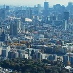 ジンジャーズビーチ サンシャイン - 